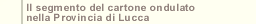 Il segmento del cartone  ondulato nella Provincia di Lucca